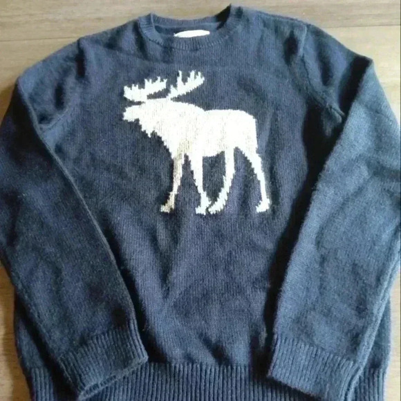Abercrombie Kids Boys Signature Moose Sweater - Picture 1 of 2